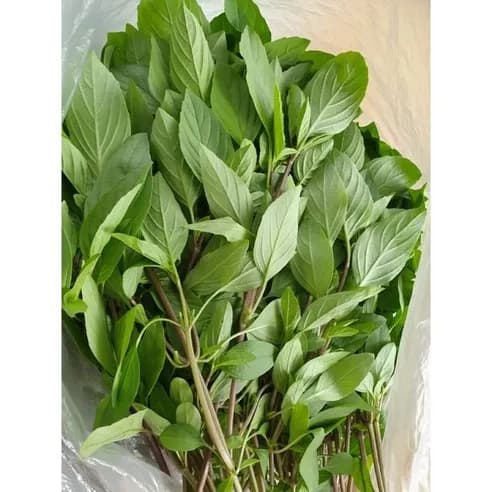 Rau Húng Quế 50g