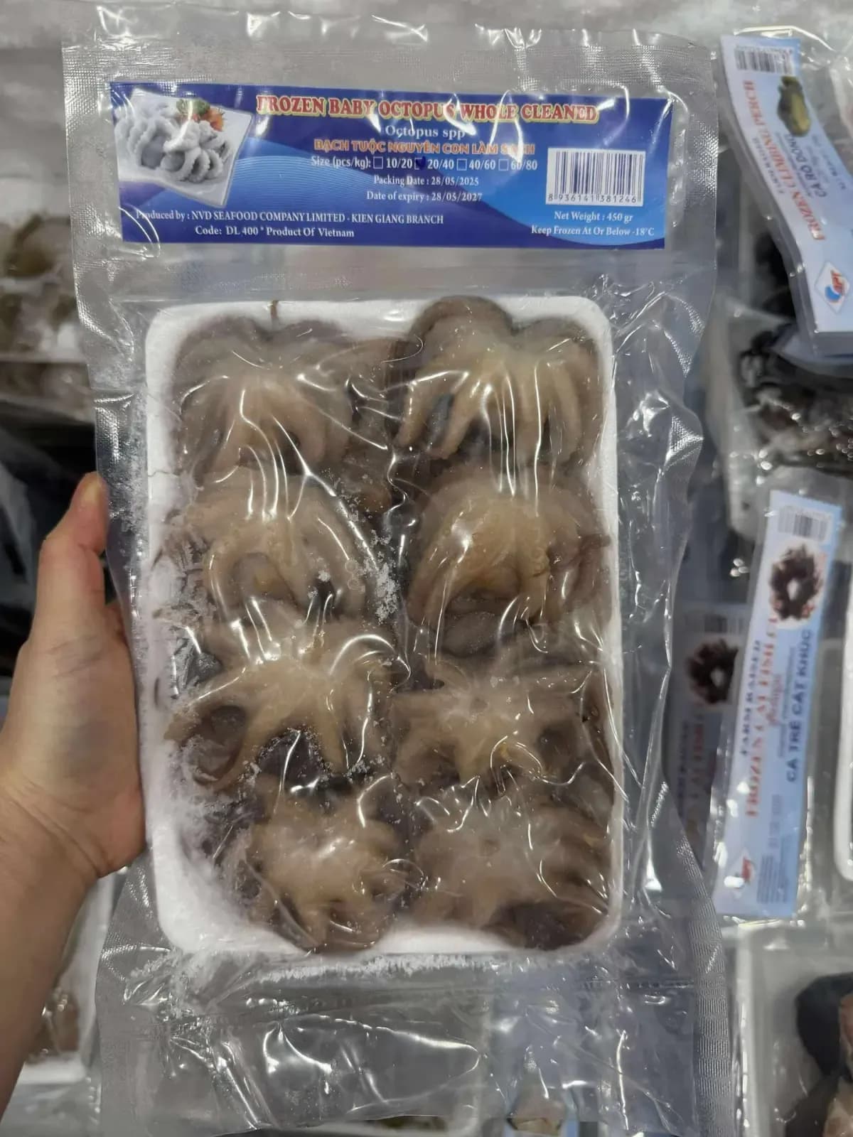 Bạch Tuộc Nguyên Con 450gr